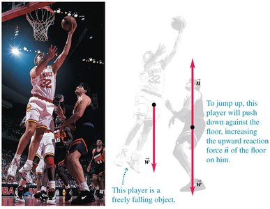 Uniform circular motion: Net force toward the center.