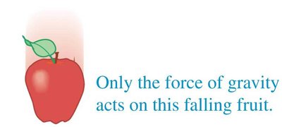 Only gravity acts on a falling fruit