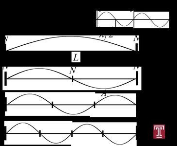Standing waves on a string
