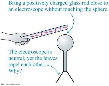 Electroscope polarization by a charged rod
