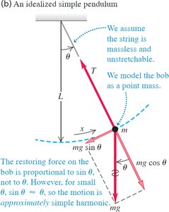 A real pendulum: child on a swing