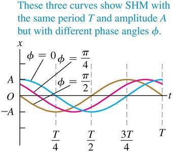 SHM curves with different phase angles