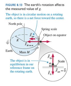 Earth's rotation and measured gravity