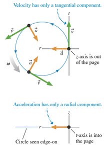 Velocity and acceleration components in uniform circular motion