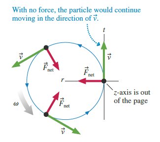Net force in uniform circular motion points toward the center