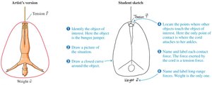 Identifying forces on a bungee jumper