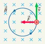 A positive charge moving in a uniform magnetic field, showing the velocity vector, magnetic field direction, and the resulting force causing circular motion.