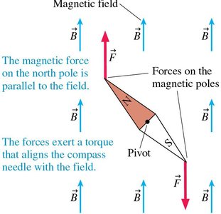 Forces on magnetic poles in a magnetic field