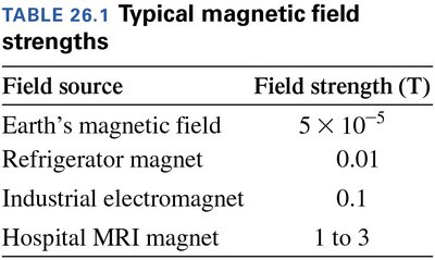 Iron filings showing magnetic field lines