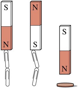 Magnets attract certain objects, such as paper clips