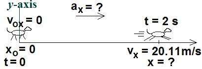 Vertical motion under gravity