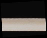 Big brown bat and its frequency modulated calls
