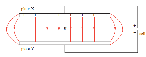 Electric field lines around a positive charge