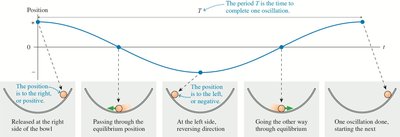 Sinusoidal graph of position vs. time for oscillatory motion