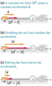 Force and acceleration proportionality