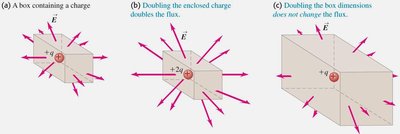 Effect of charge and surface size on flux