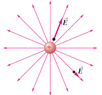 Electric field lines for a single positive charge