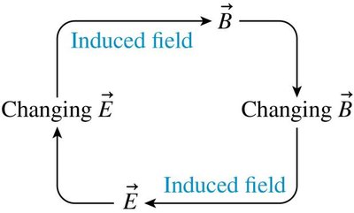 Mutual induction of electric and magnetic fields