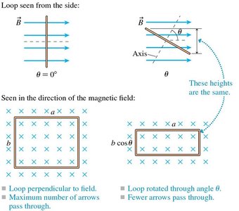 Magnetic flux and loop orientation