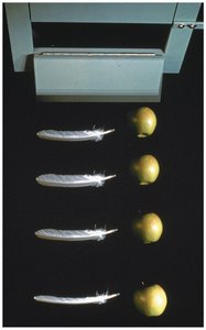 Apple and feather falling at same rate in vacuum