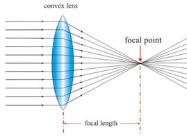 Convex lens focusing parallel rays to a focal point