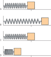 Spring-mass system at various positions