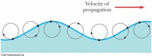 Surface wave with elliptical particle motion