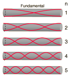 Harmonic series in a wind instrument