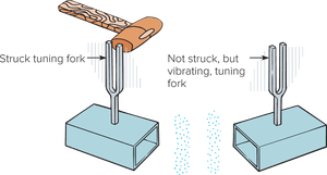 Resonance with tuning forks