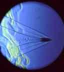 Supersonic transition and shock wave cone