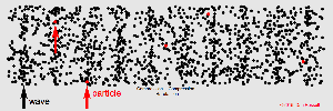 Longitudinal wave with particle motion