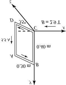 Current loop in a magnetic field