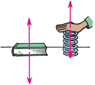 Support force illustrated with book and spring