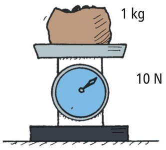 Scale showing 1 kg mass and 10 N weight