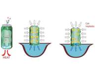 Diagram of crushing can experiment