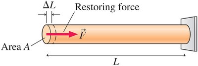 Elastic deformation of a rod