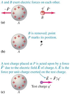Physics with Calculus Study Guide: Electric Charge & Field | Notes