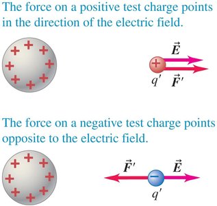 Physics with Calculus Study Guide: Electric Charge & Field | Notes