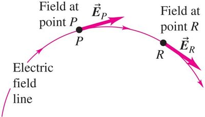 Physics with Calculus Study Guide: Electric Charge & Field | Notes