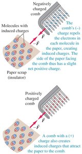 Physics with Calculus Study Guide: Electric Charge & Field | Notes