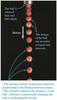 Motion diagram of freely falling ball