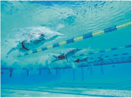 Swimmers racing, illustrating average velocity