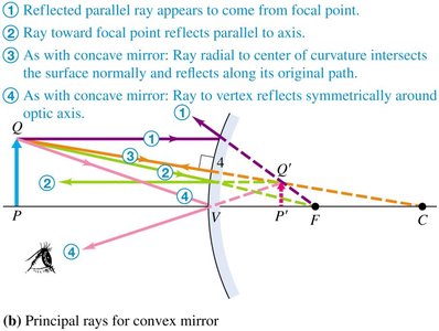 Principal rays for convex mirror