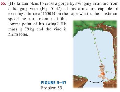Tarzan swinging on a vine across a gorge