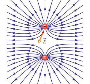 Field lines for two positive charges