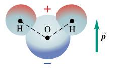 Water molecule as a dipole