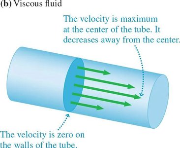 Velocity profile for ideal fluid in a tube
