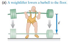 Barbell does positive work on hands