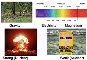 Diagram of fundamental forces: gravity, electricity, magnetism, strong and weak nuclear