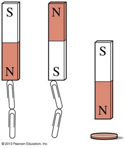 Magnet attracts paper clips, not all materials